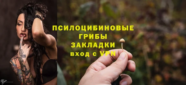 первитин Богородск