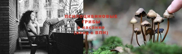 прущая мука Балабаново